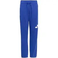 Adidas Sportbroek 'Essentials' blauw / wit