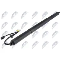 NTY AE-PS-008 Gasveer achterklep