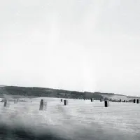 Konkurrent Drone - Feral (CD)