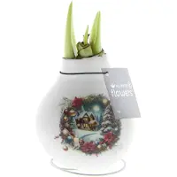 QFB Gardening Wax Amaryllis Crafts Christmas Huis | Prachtige Wax Amaryllis voor in huis