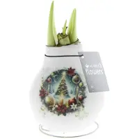 QFB Gardening Wax Amaryllis Crafts Christmas Boom | Prachtige Wax Amaryllis voor in huis |