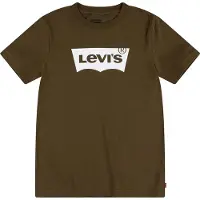 Levi's Levi´s  Kids Batwing T-shirt Met Korte Mouwen Groen 36 Months Jongens