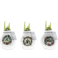 QFB Gardening Wax Amaryllis Collection Crafts Christmas | 3 stuks | Prachtige Wax Amaryllis