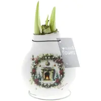 QFB Gardening Wax Amaryllis Crafts Christmas Haard | Prachtige Wax Amaryllis voor in huis |