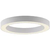 Paul Neuhaus Strakke led plafondlamp Pure Lines Round Ø 35cm - wit