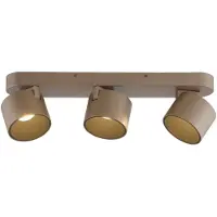 Paul Neuhaus 3L Led opbouwspot Pure Cup bronce