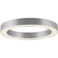 Paul Neuhaus Strakke led plafondlamp Pure Lines Round Ø 35cm - diamond