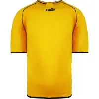 Puma King Korte Mouw Top Ronde Hals Geel Heren Voetbal T-shirt 715070 15