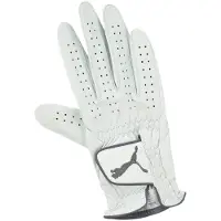 Puma Pro Performance Right Hand Leather Wit Dames Golfhandschoen 041258 01