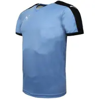 Puma Pitch Shirt Korte Mouw Training Gym T-Shirt Blauw - Heren