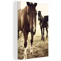 MuchoWow Paarden sepia Canvas 40x60 cm - Foto print op Canvas schilderij (Wanddecoratie woonkamer / slaapkamer)
