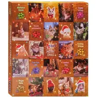 Antos Adventskalender voor de kat met katten snacks