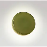 Marset Caramel Wandlamp Green | Ø 22 cm | Triac