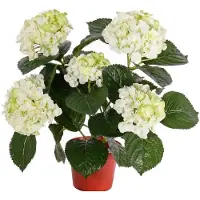 Top Art Topart kunstplant met bloemen - Hortensia - creme wit - H36 cm - Dia 10 cm - Bloemetjes - Hydrangea
