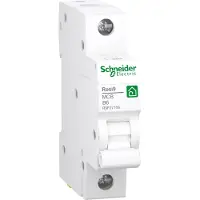 Schneider R9F27106 R9F27106 Zekeringautomaat