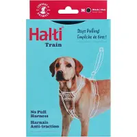 Company of animals No Pull Harness