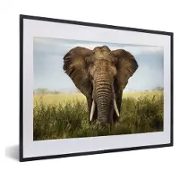 MuchoWow Foto in lijst - Afrikaanse olifant in het gras in het Nationaal park Serengeti fotolijst zwart met witte passe-partout klein 40x30 cm - Poster in lijst (Wanddecoratie woonkamer / slaapkamer)