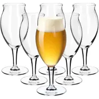 Kadax Bierglazen, bierglazen van glas, biertulpen, tarweglazen voor donker en licht bier, ambachtelijke bierglazen, bierpul, pilsner glas, bierglas, bierbeker (410 ml, 6 stuks, transparant)