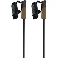 Fischer Gt 11 Carbon Mag Stokken