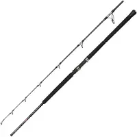 Penn Ally Ii Offshore Jigging Rod Zilver 2.21 m / 80 g