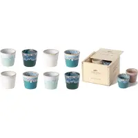 Costa Nova grespresso serie set van 8 lungo kopjes in houten gift box 210 ML - Chique