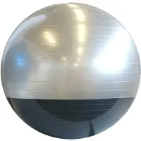 Trial Fysiobal Bombolone S2 Ø50cm
