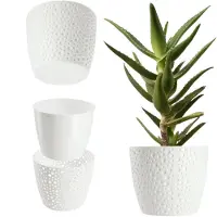 Kadax Bloempot van kunststof, diameter 11-21 cm, 5 kleuren, eenvoudige pot, robuuste plantenpot, plantenbak, ronde bloempotbescherming voor varen, diameter 13 cm, wit