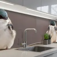 KitchenYeah Keuken achterwand 250x60 cm - Spatscherm zelfklevend Vogels - Dieren - Draad - Portret - Muurbeschermer - Spatwand fornuis