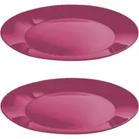 Hega hogar Ontbijtbordjes - 12x st - roze - 21 cm - hard kunststof - dinerborden - camping bordjes - Outdoor servies picknick/verjaardag
