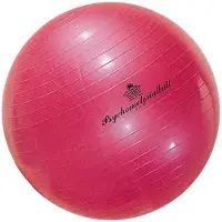 Trial Fysiobal V14 Ø45 cm