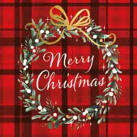 Ambiente Kerst thema servetten - 40x st - rood geruit - 33 x 33 cm - Merry Christmas - lunch/diner