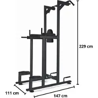 Toorx Professional WBX-B2800 Chin/Dip/Leg Raise