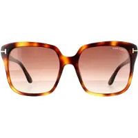 Tom Ford zonnebril Faye FT0788 53F Blonde Havana Brown Gradiënt