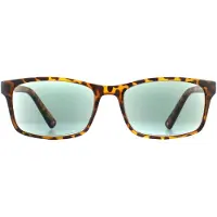 Montana Zonnebril MR73AS Havana Green Readers +1.00