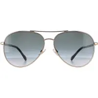 Jimmy Choo DEVAN/S RHL 9O goud zwart donkergrijs gradiënt zonnebril