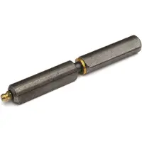 IBFM Aanlaspaumelle met smeernippel, stalen pen en messing ring 160x20 mm blank staal