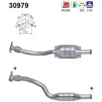 As 30979 Katalysator