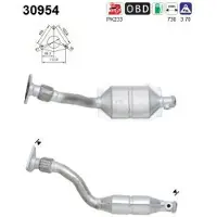 As 30954 Katalysator