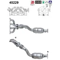 As 45229 Katalysator