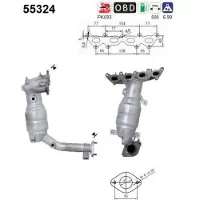 As 55324 Katalysator