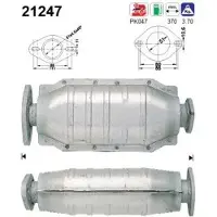 As 21247 Katalysator