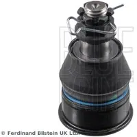 Blue Print ADBP860216 Fuseekogel
