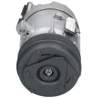 BV PSH 090.135.049.000 Aircopomp