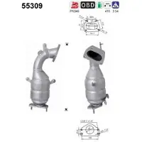 As 55309 Katalysator
