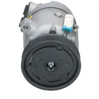 BV PSH 090.135.014.000 Aircopomp