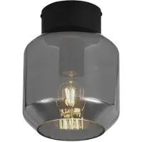 QAZQA Moderne plafondlamp zwart met smoke glas - Stiklo