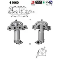 As 61060 Katalysator