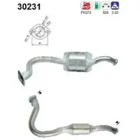 As 30231 Katalysator