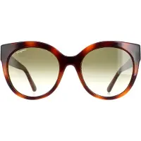 Salvatore Ferragamo Cat Eye Dames Tortoise Green SF1031s