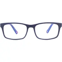 Montana Leesbril Blf73-B Matblauw blauw lichtblok +2,00
